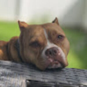 Meet your Posher, Kelsha